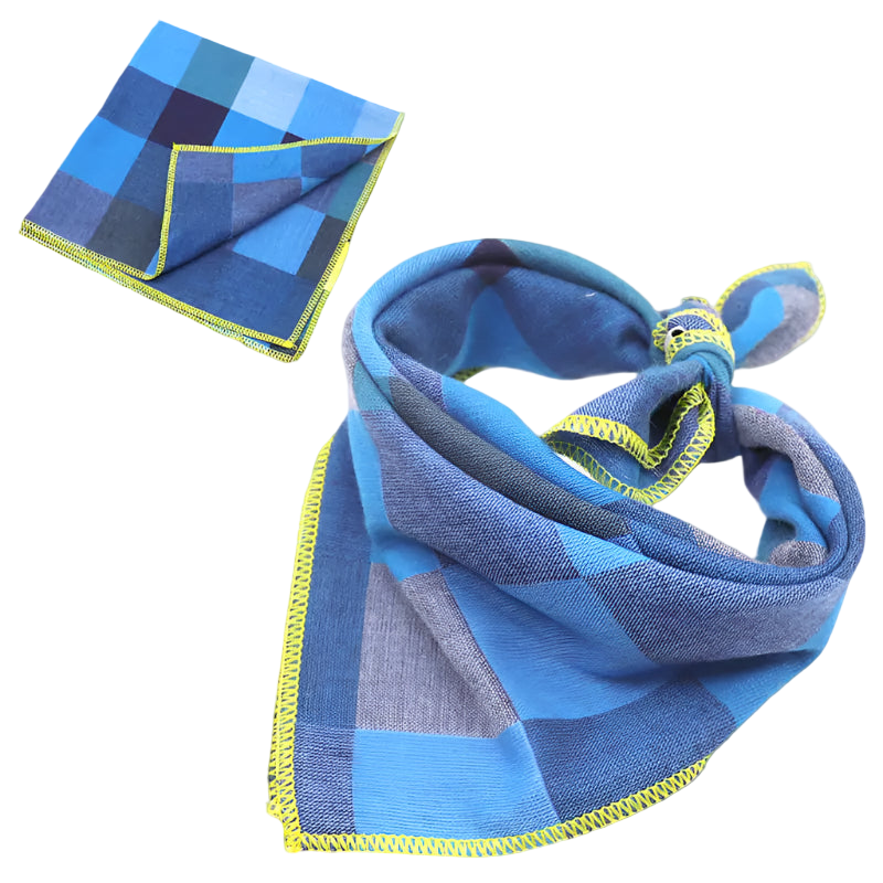 Blue checkered scarf with yellow trim on a white background