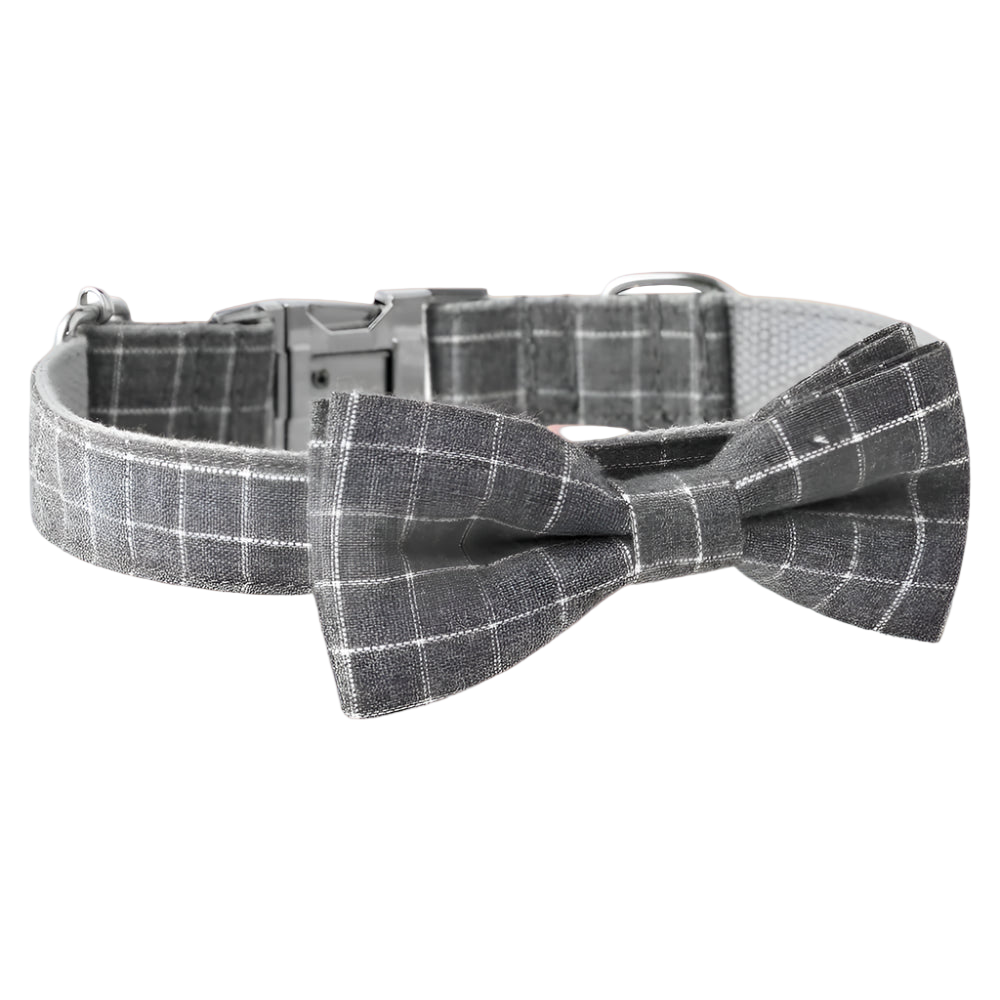 Dog collar with a bow tie on a white background