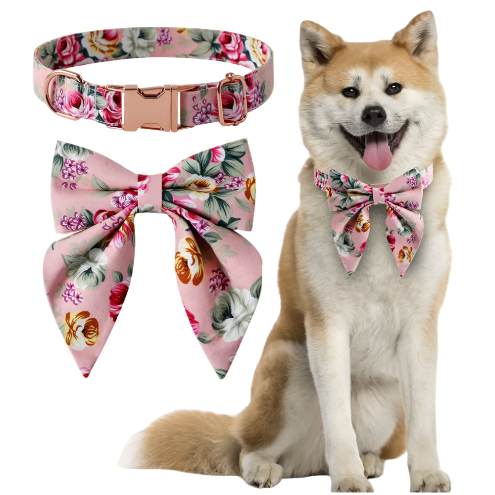Dog wearing a floral bow tie with matching collar and accessories on a white background