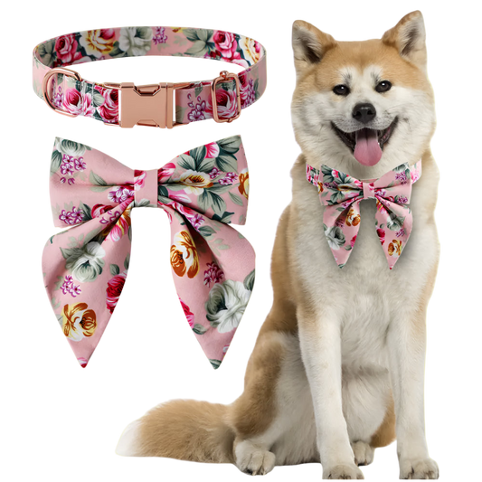 Dog wearing a floral bow tie with matching collar and accessories on a white background
