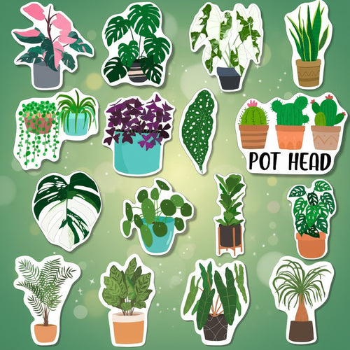 Collection of potted plant illustrations with a 'POT HEAD' text sticker on a white background