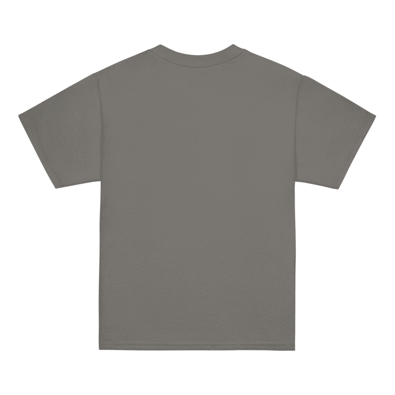 Plain gray t-shirt on a white background