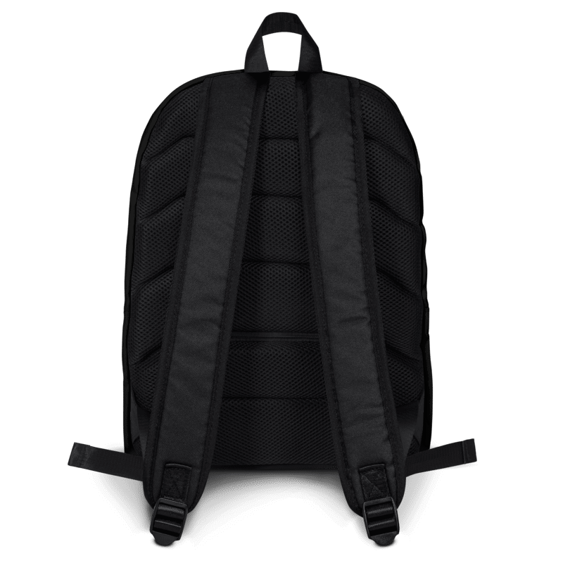 Black backpack shown from the back on a white background