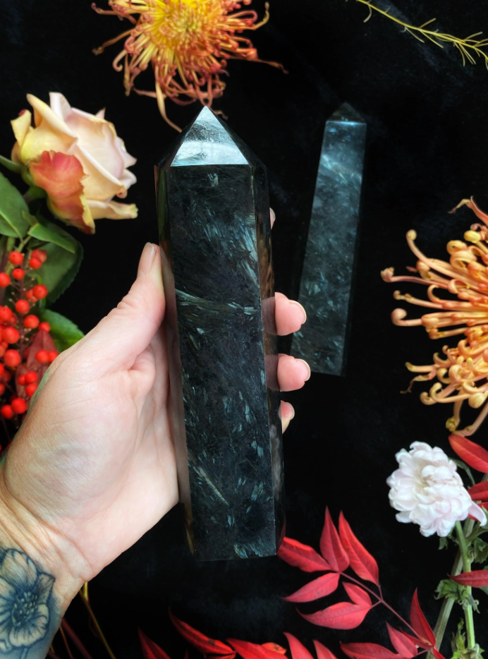Hand holding a black crystal with flowers in the background