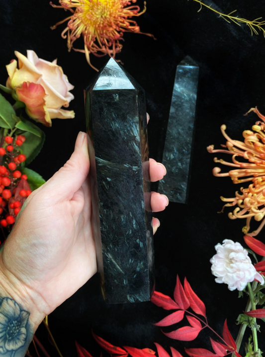 Hand holding a black crystal with flowers in the background