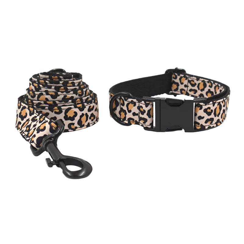 Leopard print dog collar and leash set on a white background
