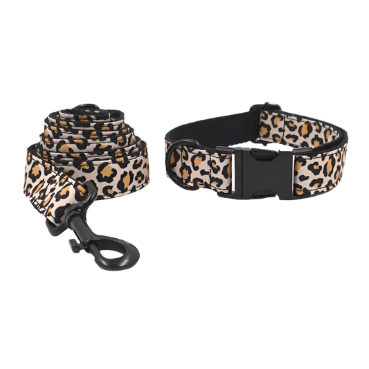 Leopard print dog collar and leash set on a white background