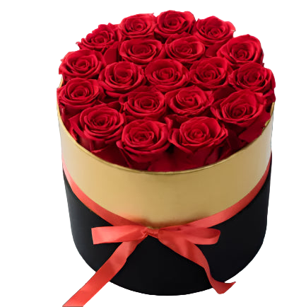 Heart-shaped box filled with red roses on a light gray background