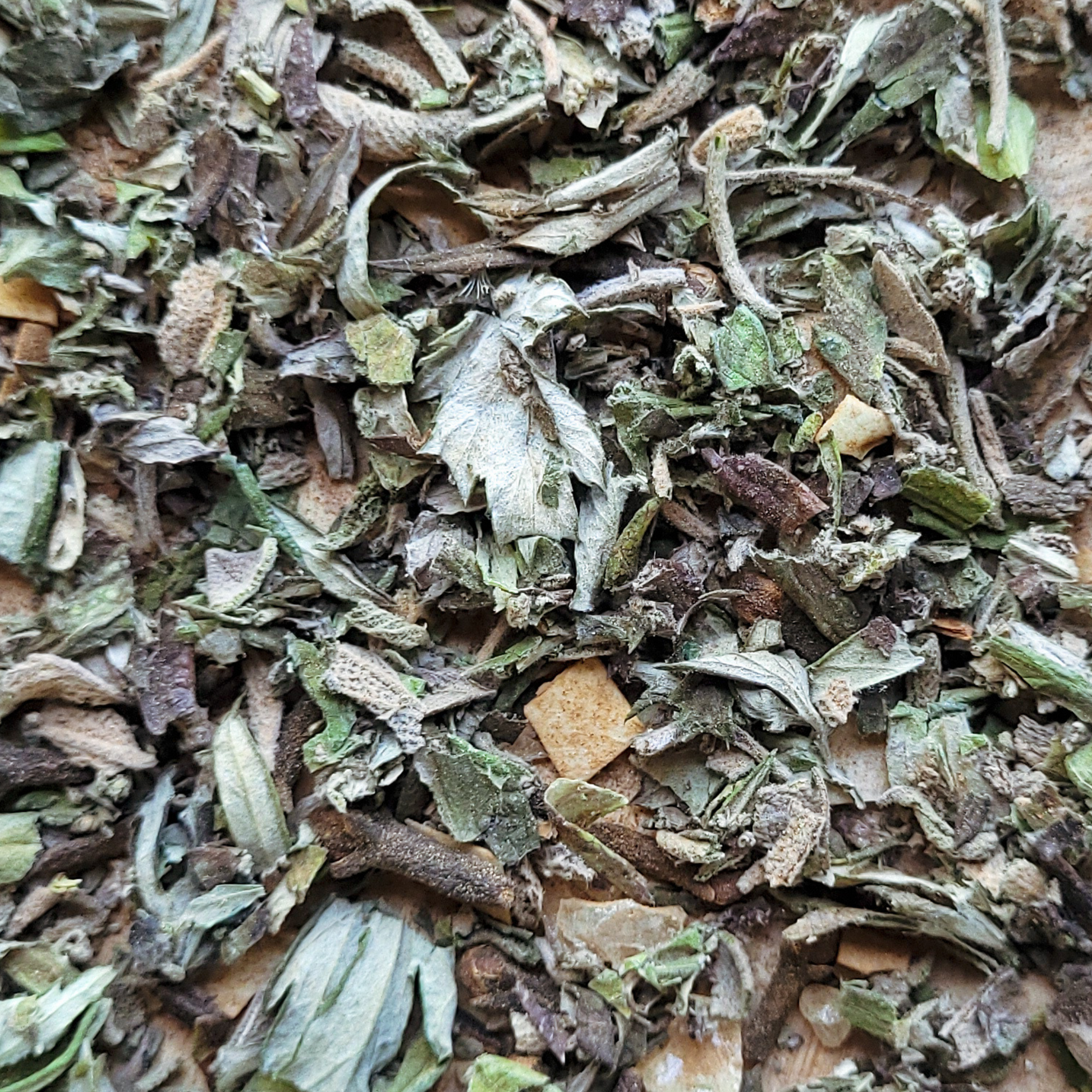 Close-up of dried herbs and leaves with a mix of green, brown, and beige colors.