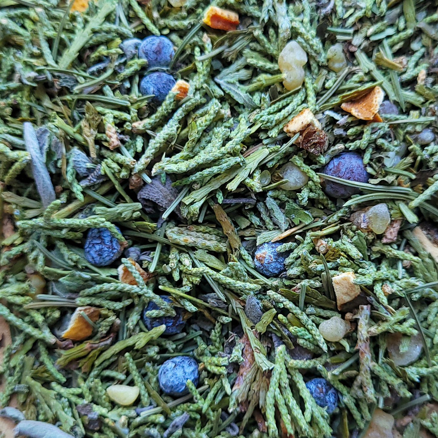 Close-up of dried herbs and berries with a focus on green leaves and blue berries.