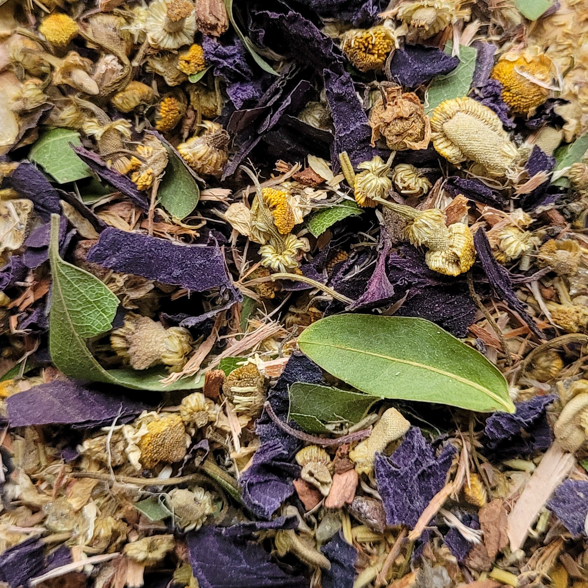 Close-up of dried herbs and flowers with a mix of purple, green, and yellow colors.