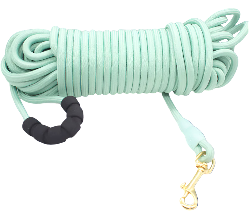 Mint green dog leash with black handle and gold clasp on a white background