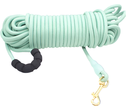 Mint green dog leash with black handle and gold clasp on a white background