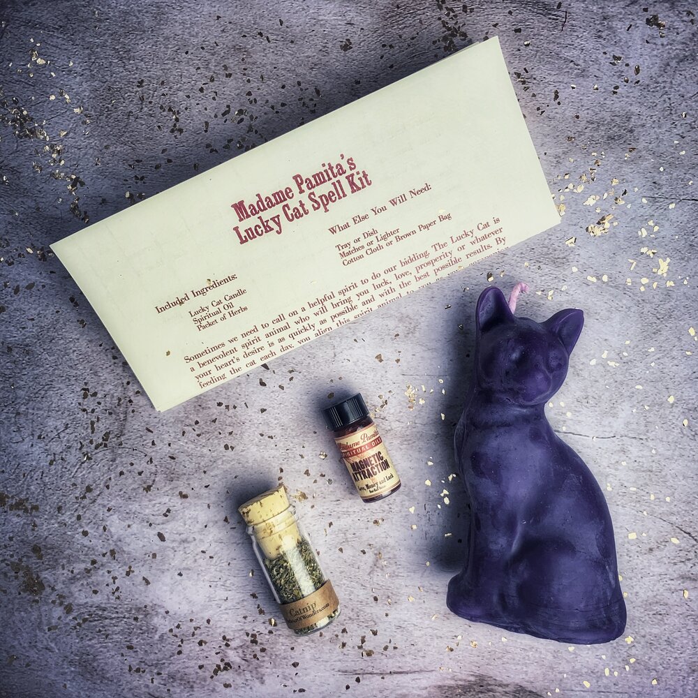 Lucky Cat Spell Kit with purple cat figurine, bottles, and paper on a textured surface