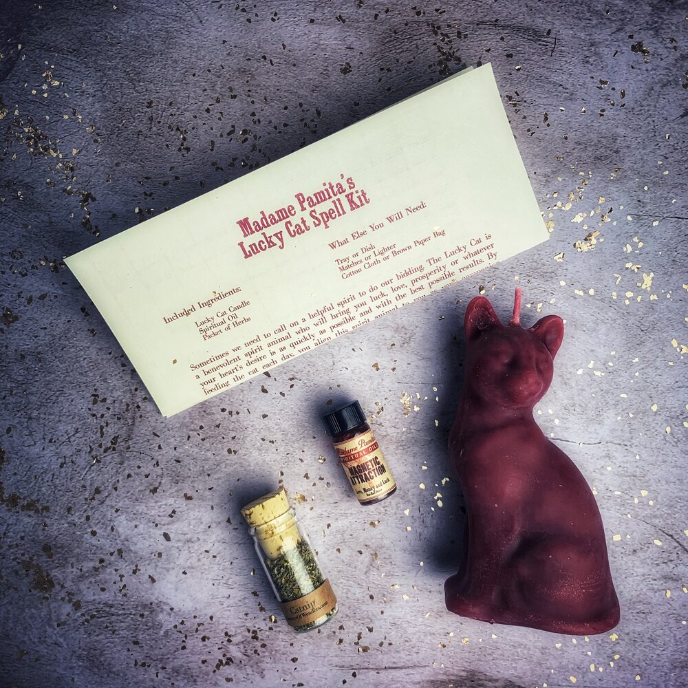Lucky Cat Spell Kit with a red cat figurine, bottles, and a letter on a textured surface.