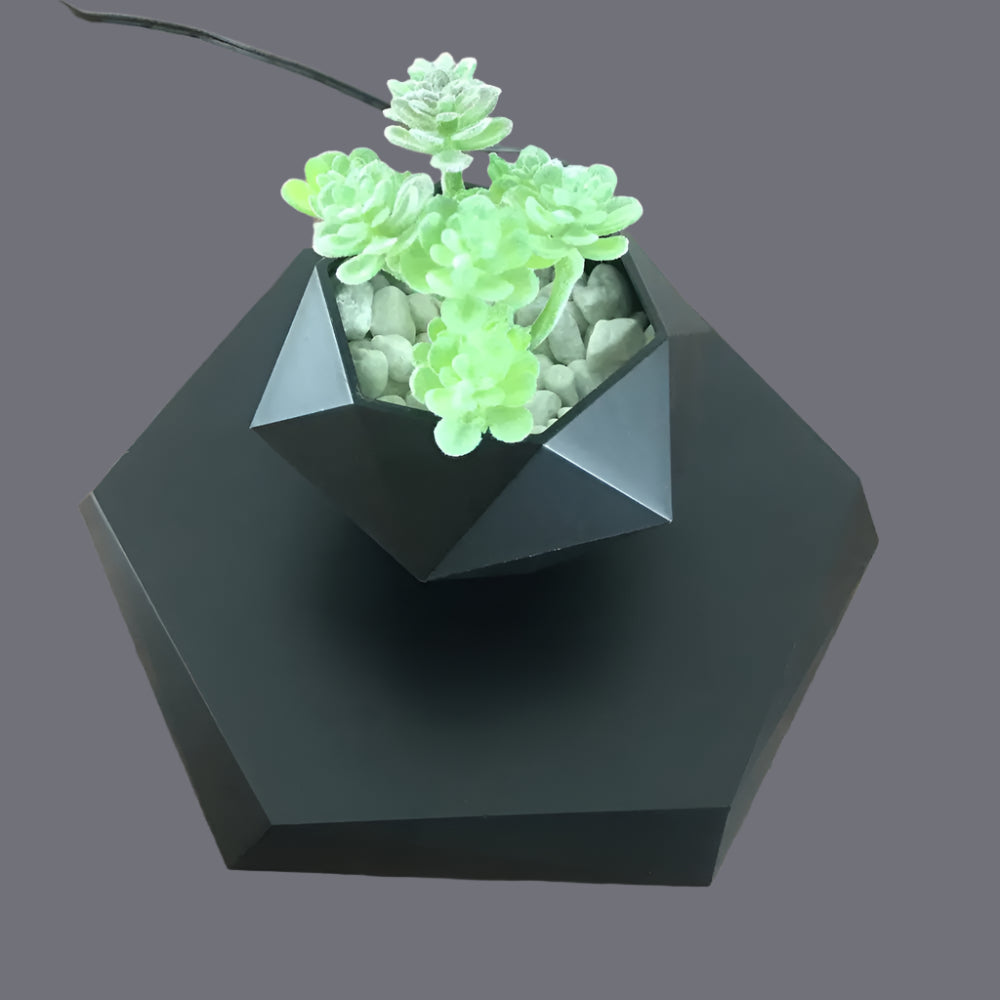 Geometric black planter with green succulents on a wooden surface