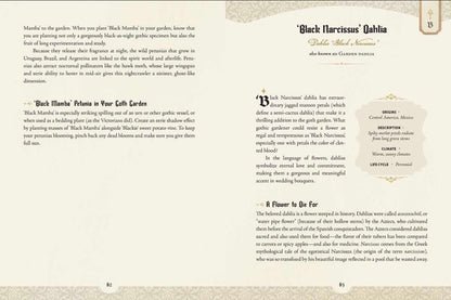 Book page with text about 'Black Narcissus' Dahlia, featuring decorative elements.