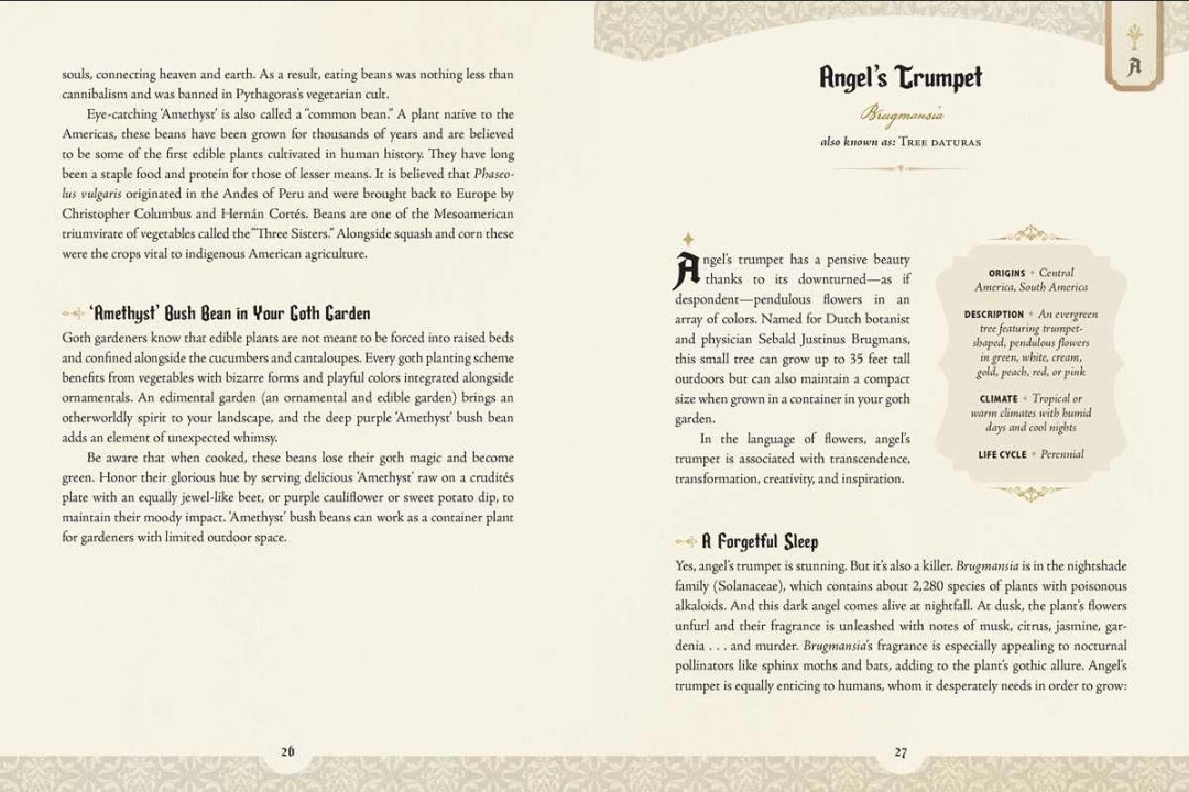 An open book spread showing printed pages with the title 'Angel's Trumpet' and several columns of text, plus decorative beige border graphics on both pages.