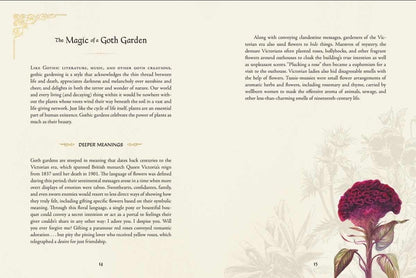 Book page with text and a decorative flower illustration on a light background
