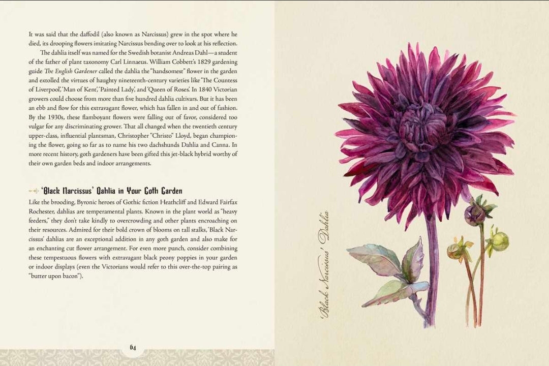 A vintage botanical book page featuring a large pink-purple delphinium flower on the right and a small bird on the lower right, with text columns on the left. The page has a warm cream background and visible handwritten annotations.
