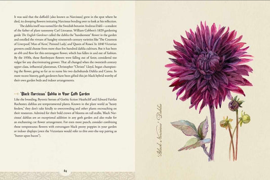 A vintage botanical book page featuring a large pink-purple delphinium flower on the right and a small bird on the lower right, with text columns on the left. The page has a warm cream background and visible handwritten annotations.
