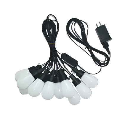 Set of light bulbs with black cords and a power adapter on a white background