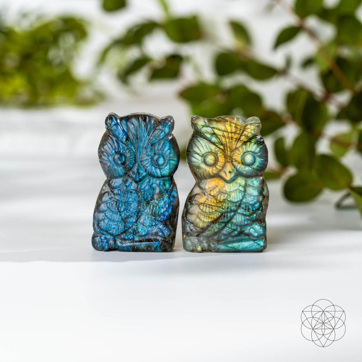 Two colorful owl-shaped stones on a white surface with green foliage in the background