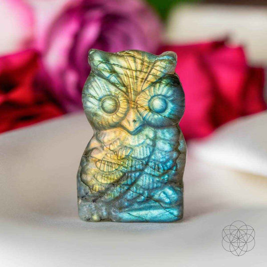 Token of Wisdom - Labradorite Owl Talisman - Lucky Girl Gifts
