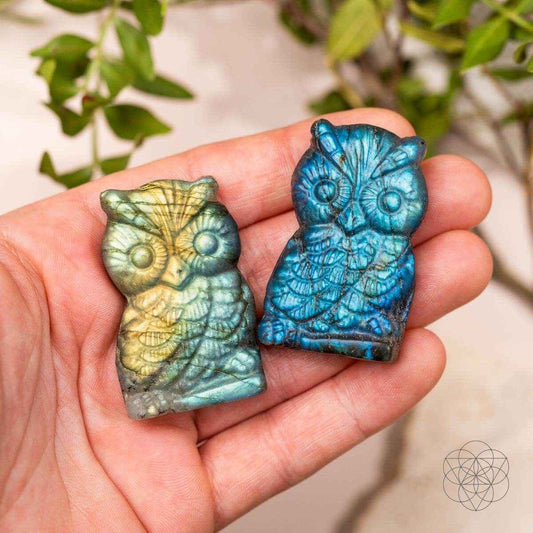 Token of Wisdom - Labradorite Owl Talisman - Lucky Girl Gifts
