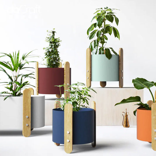 Colorful planters with plants on a white background