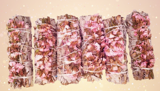 Bundles of cherry blossom sage on a white background